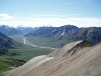 Denali Park