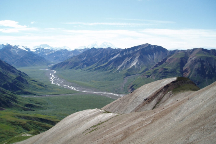 Denali Park