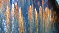 Rost Im Fels